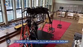 VIDEO- Un schelet de Tiranozaur Rex a fost cumpărat cu peste 5 milioane de dolari