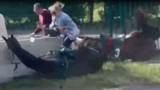 Femeia de 44 de ani a fost izbită &icirc;n mod &icirc;ngrozitor de o bornă de beton, lăs&acirc;nd-o inconștientă și cu răni grave.