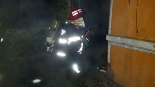 Un adăpost cu animale a fost distrus de un incendiu. Proprietara s-a ales cu arsuri la ambele mâini