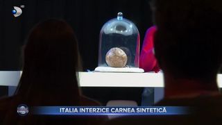 Italia interzice carnea sintetică