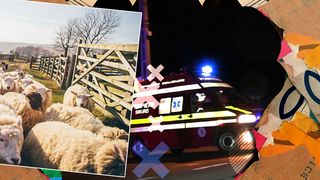 Un cioban a ajuns în stare critică la spital după ce a confundat sticla de alcool cu soluția pentru deparazitarea oilor