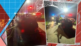 Accident dramatic pe un drum din Prahova! Un tânăr s-a tins din viață după ce mașina sa a izbit un copac și a fost proiectată înapoi pe șosea