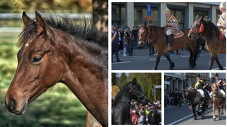 VIDEO-Defilare în centrul vechi al Brașovului. 210 juni au defilat în fața a mii de spectatori