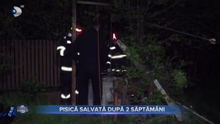 VIDEO- Misiune inedită a pompierilor din  Buzău. Un pui de pisică a fost salvat dintr-o fântână 