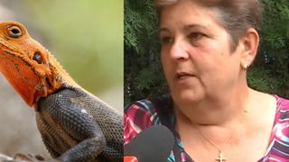 Mariana spune că are o șopârlă în stomac: „De multe ori ştiţi cum împunge”