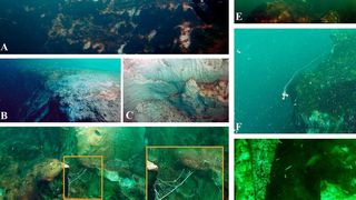 O gaură albastră uriașă, descoperită în largul oceanului