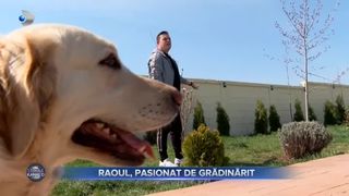 VIDEO- Raoul, pasionat de grădinărit