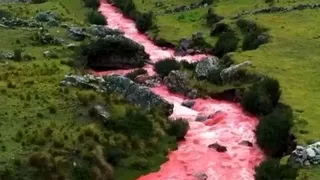 Motivul neașteptat pentru care apa din acest râu se face roșie ca sângele