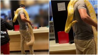 VIDEO - Un român a intrat într-un restaurant cu un șarpe imens atârnat de umăr: „Dacă ești urmărit de cămătari, asta e o metodă bună să ieși din casă”