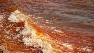 Marea Neagră a devenit roșie! Imaginile zilei din stațiunea Olimp