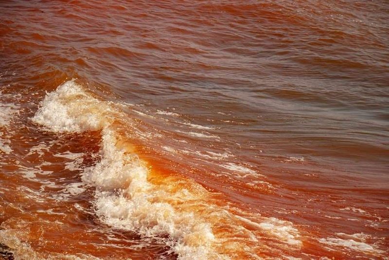 Marea Neagră a devenit roșie! Imaginile zilei din stațiunea Olimp