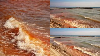 Marea Neagră a devenit roșie! Imaginile zilei din stațiunea Olimp