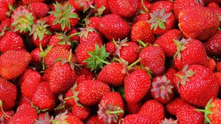 Cât costă căpșunile 2023. 