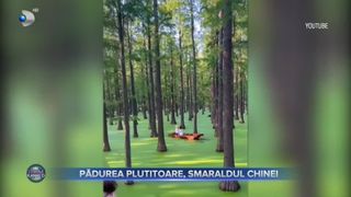 VIDEO- Lacul Haoyang, pădurea plutitoare a Chinei