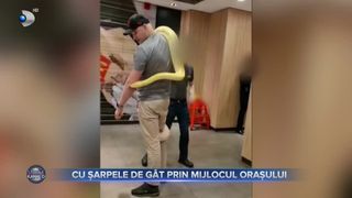 Cu șarpele de gât prin mijlocul orașului