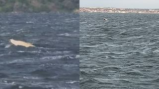 Intervenție de ultim moment a pompierilor după scufundarea unei bărci pescărești