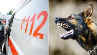 O femeie din Iași a fost sfâșiată de o haită de câini, în plină stradă. Ea mergea la serviciu