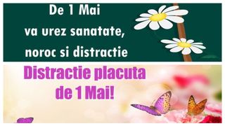 Mesaje de Ziua Muncii 2023. Urări și felicitări de 1 mai 2023: „De 1 Mai, Ziua Internaţională a Muncii, vă doresc o mini-vacanță plăcută şi un an plin de realizări profesionale!”
