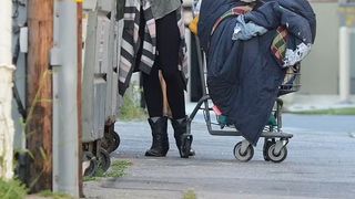 Fostul model de fitness Loni Willison, filmată &icirc;n timp ce căuta prin gunoaie