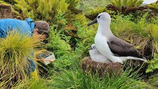 Postul presupune adaptarea la condițiile meteo și la lipsa alimentelor proaspete