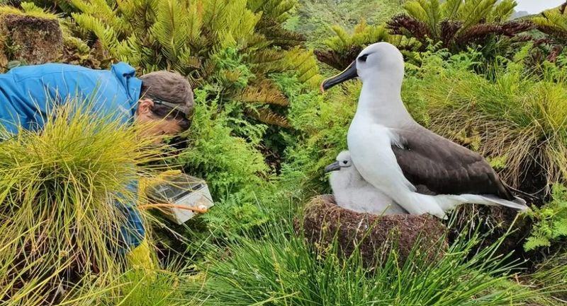 Postul presupune adaptarea la condițiile meteo și la lipsa alimentelor proaspete