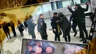 VIDEO - Zeci de tineri au fost prinși cu droguri la festivalurile de pe litoral