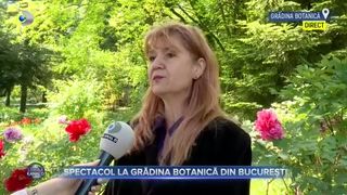 Grădina Botanică din București a revenit la viață