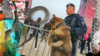 VIDEO - Peste 125 de persoane au fost prinse cu droguri în ultimele patru zile la festivalurile de pe litoral