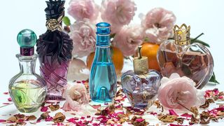 &Icirc;n urmă cu două săptăm&acirc;ni, finanțele au confiscat 270.000 de produse &icirc;ntre Busto Arsizio și Vco