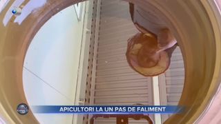 Apicultorii la un pas de faliment