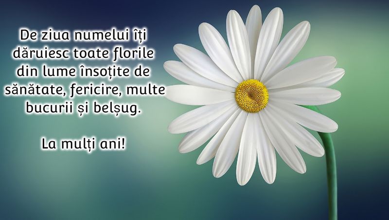 Urări de Sfânta Irina 2023. 