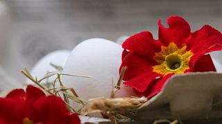 Înălțarea Domnului 2023. De ce este bine să vopsești ouă roșii pentru această sărbătoare?