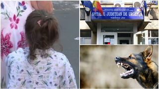 EXCLUSIV: O fetiță de 5 ani, din Gorj, a ajuns la spital după ce a fost mușcată de un câine, de față. Totul s-a petrecut pe ulița din comuna Scoarța / Primarul comunei: „Sunt foarte mulți câini”