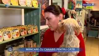 VIDEO- Meniurile cu canabis au ajuns un deliciu pentru patrupezi