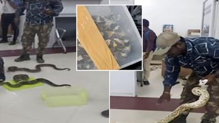VIDEO. O turistă a fost prinsă cu 22 de șerpi și un cameleon în bagajul din avion