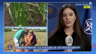 VIDEO- Guvernul sare în ajutorul fermierilor români! 3.000 de euro pentru fiecare hectar cultivat de usturoi