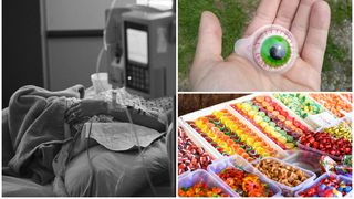 FOTO: Cum arată jeleul care a ucis-o pe fata de 14 ani