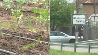 Polițiștii au găsit jumătate de tonă de soluții toxice care erau folosite pentru accelerarea creșterii și coacerii legumelor