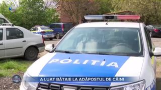 VIDEO- Scandal la un adăpost de câini! Un bărbat a fost snopit în bătaie de un angajat