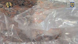 FOTO/VIDEO - Mai multe persoane, cercetate pentru trafic de droguri de risc și mare risc. Substanțele interzise urmau să fie vândute participanților la un festival din Mamaia