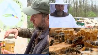 VIDEO - Cum se face mierea autentică românească? La ce trebuie să fim atenți atunci când cumpărăm miere din comerț