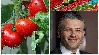 EXCLUSIV: Cum recunoaștem legumele care au pesticide?/ Sorin Mierlea: ”Este o problemă extrem de gravă”