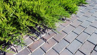 Tipuri de pavaje pentru terase, grădini și alei