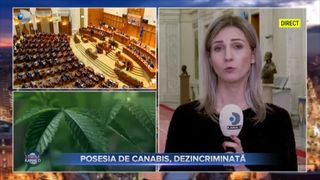 Posesia de canabis, dezincriminată