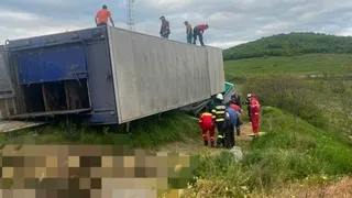 Zeci de animale au murit după ce un camion încărcat cu oi s-a răsturnat pe DN 15A