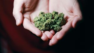 Acest proiect de lege a fost inițiat din 2019 &icirc;n Rom&acirc;nia&nbsp;.