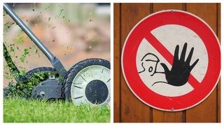 Cum poți avea cel mai frumos gazon &icirc;n curte? Greșeala pe care trebuie să o eviți