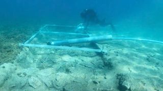 VIDEO: Un drum vechi de 7.000 de ani a fost găsit pe fundul mării, în Croația