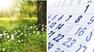 O nouă mini-vacanță prelungită pentru elevi în iunie 2023: Câte zile vor sta acasă?