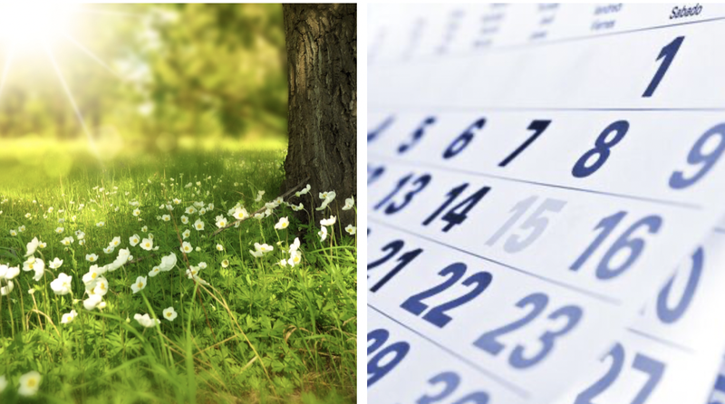 O nouă mini-vacanță prelungită pentru elevi în iunie 2023: Câte zile vor sta acasă?